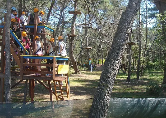 Laurus I Appartement Kožino