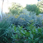 Laurus I Apartament Kožino