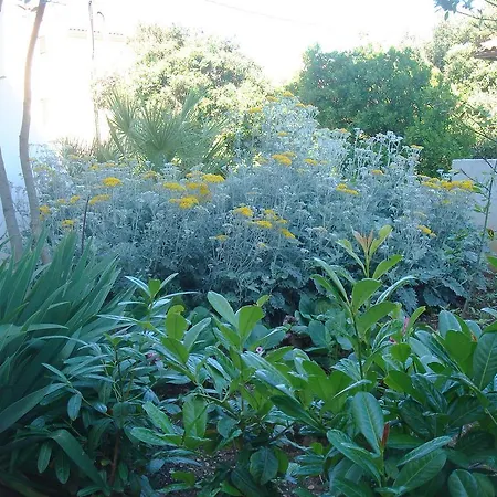 Laurus I Διαμέρισμα Kožino
