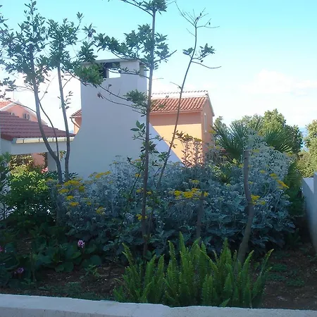 Laurus I Kožino