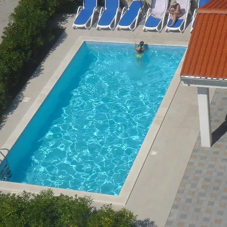 Laurus I * Kožino