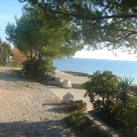 Laurus I