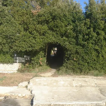 Διαμέρισμα Laurus I