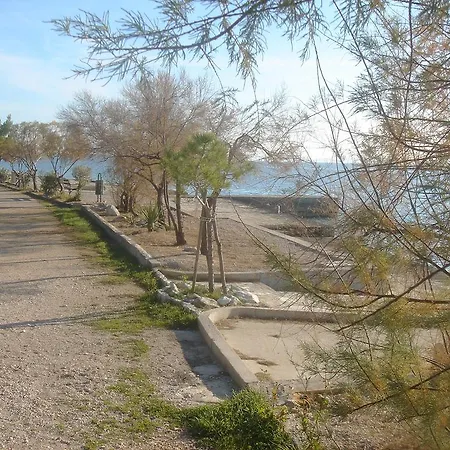 Laurus I *
