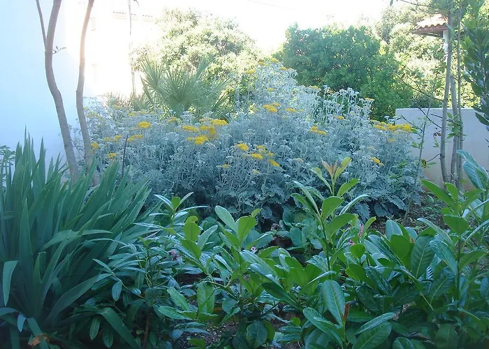 Laurus I Apartman Kozino