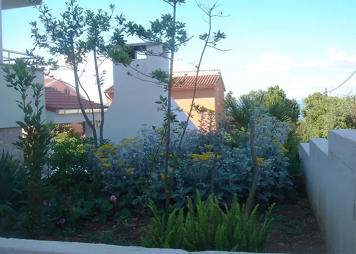 Laurus I Kožino