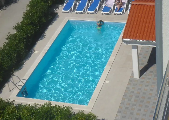 Laurus I * Kožino