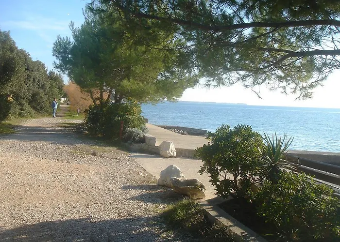 Laurus I